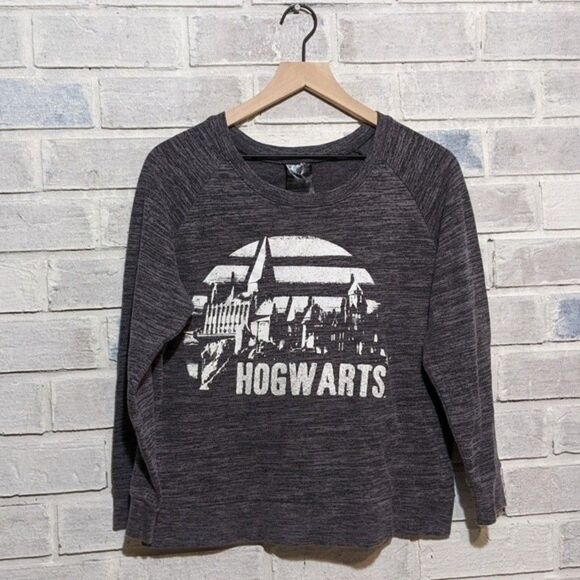 Hogwarts Sweatshirt Harry Potter cotton poly grey sweater sz L - Picture 1 of 4